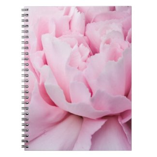 Pink rose up close Notebook