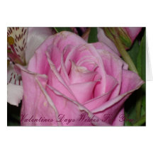 Pink Rose Valentine Greeting Card