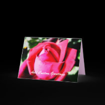 Pink Rose w/ Custom Text Greeting Card cards