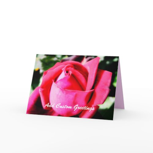 Pink Rose w/ Custom Text Greeting Card card