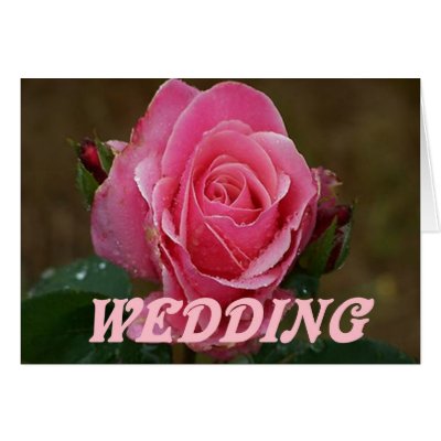 Pink Rose Wedding Card by JoniceC