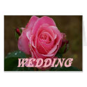 Pink Rose Wedding Card by JoniceC Pink Rose Wedding Card