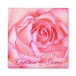 Pink rose  wedding magnet magnets