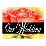 Pink Rose Wedding Painting Art - Multi Postcard