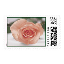 Pink Rose wedding postage postage by photoinspiration Pink Rose wedding postage postage