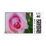 Pink Rose Wedding Postage