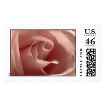 Pink Rose Wedding Postage Stamp
