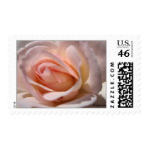 Pink Rose Wedding Postage Stamp by naturalilly Pink Rose Wedding Postage Stamp