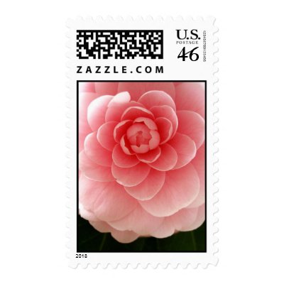 Pink Rose Wedding Postage Stamps