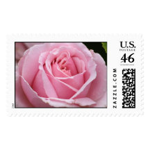 Pink Rose Wedding Stamp