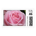 Pink Rose Wedding Stamp by ggbythebay Pink Rose Wedding Stamp