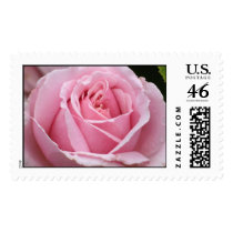 Pink Rose Wedding Stamp