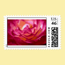 Pink Rose Wedding Stamp