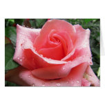 Pink Rose with Dew Greeting Card