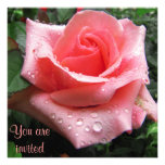 Pink Rose with Dew Invitation Card
