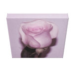 Pink Rose Wrapped Canvas Art canvas prints