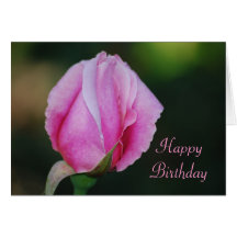 Pink Rosebud Birthday Card