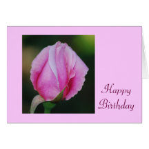 Pink Rosebud Birthday Card