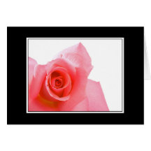 Pink Rosebud Greeting Card