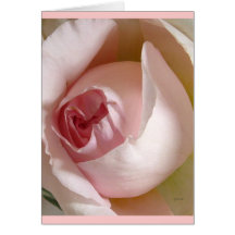 Pink Rosebud Greeting Card