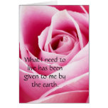 Pink Rosebud Love Card cards