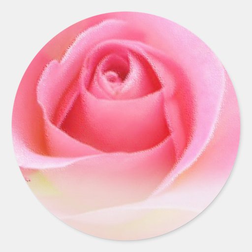 Pink rosebud stickers