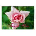 Pink Rosebud Thank You cards by caramoulds Pink Rosebud Thank You cards