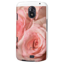 Pink Roses