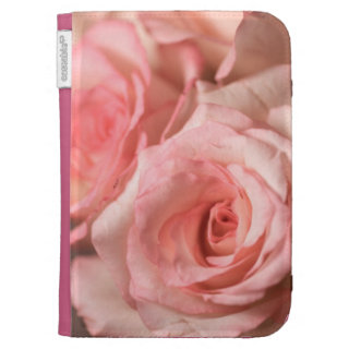 Pink Roses