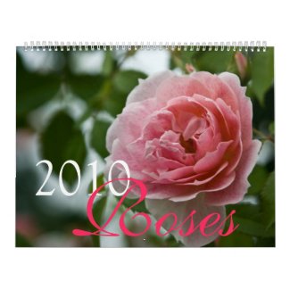 Pink Roses 2010 Calendar calendar