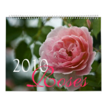 Pink Roses 2010 Calendar by SabineSt Pink Roses 2010 Calendar
