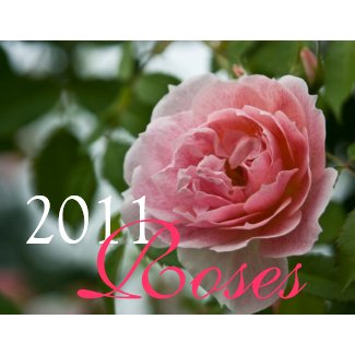 Pink Roses 2011 Calendar calendar
