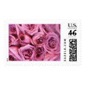 Pink Roses (2) (Customize) postage