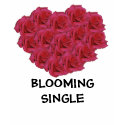 Pink roses "blooming single" women's t-shirt by Rowood Pink roses "blooming single" women's t-shirt