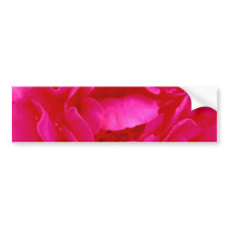 Pink Roses Bumper Sticker - Customizable bumper stickers by colorimages Pink Roses Bumper Sticker - Customizable bumper stickers