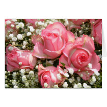 Pink Roses Greeting Cards