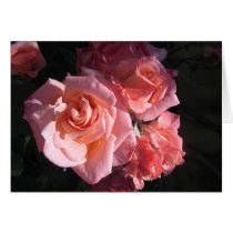 Pink roses cards