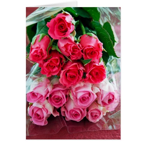 Pink Roses Cards