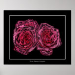 Pink Roses ( Chrome Special Effect ) Poster