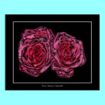 Pink Roses ( Chrome Special Effect ) posters
