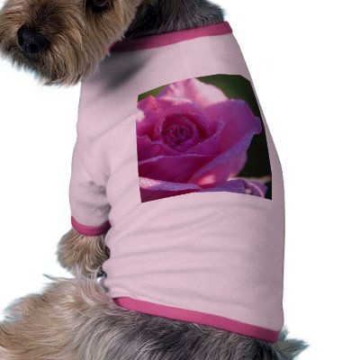 Pink Roses Dew Dog Clothing by lifesphere