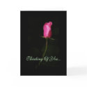 Pink Roses Expression cards by PaintedPhotography Pink Roses Expression cards