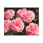 Pink Roses in bloom canvas prints