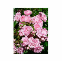 Pink Roses In The Bush Garden photo sculptures