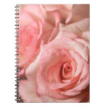 Pink Roses Journal