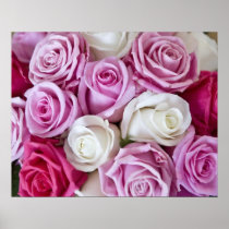 Pink Roses on canvas Print