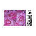 Pink Roses postage by tommyrey1 Pink Roses postage