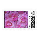 pink, roses, flowers, invitations