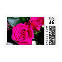 Pink Roses postage by midnighteskye Pink Roses postage