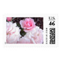 pink roses postage by Grammagail pink roses postage